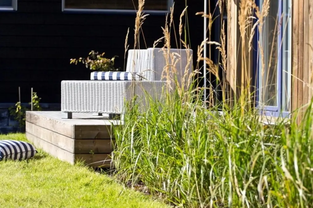 Lootos Talo — image 2